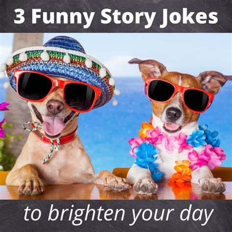 Funny story. Things To Know About Funny story. 